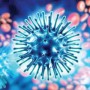 В Качканаре превышен порог заболеваемости по гриппу и ОРВИ