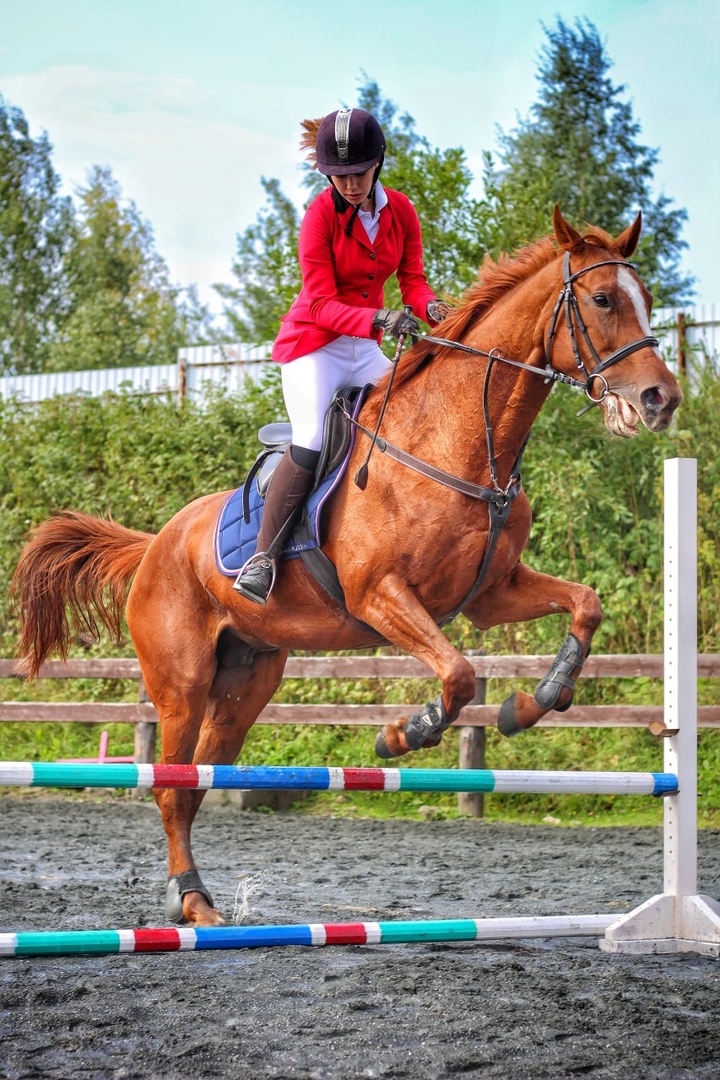 Дарья Самохина конный спорт