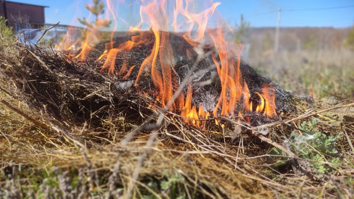 Можно ли сжигать траву на своем участке. Костер в лесу. Сжигание сухой травы. Весенний пал травы. Разведение костров.