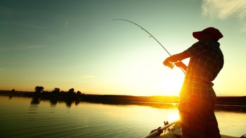 В Свердловской области с 25 апреля запретят ловить рыбу