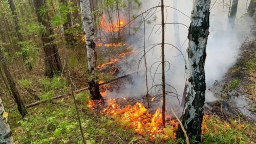 В Свердловской области горят леса