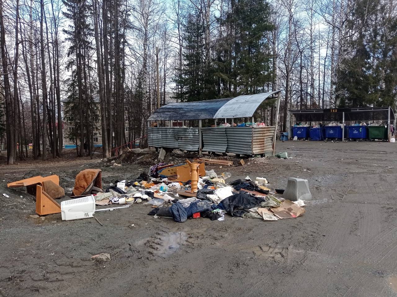 Более 4 миллионов рублей  пойдут из бюджета на уборку мусора